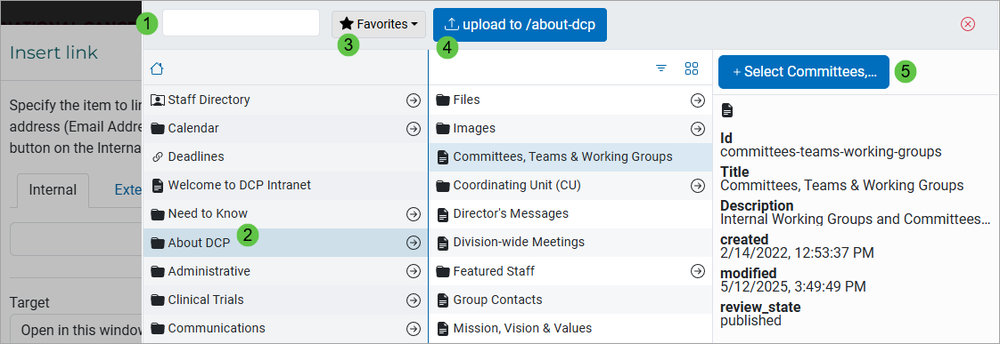 Insert Link Form Options