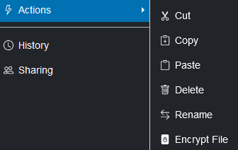 Actions Menu - Encrypt File Option